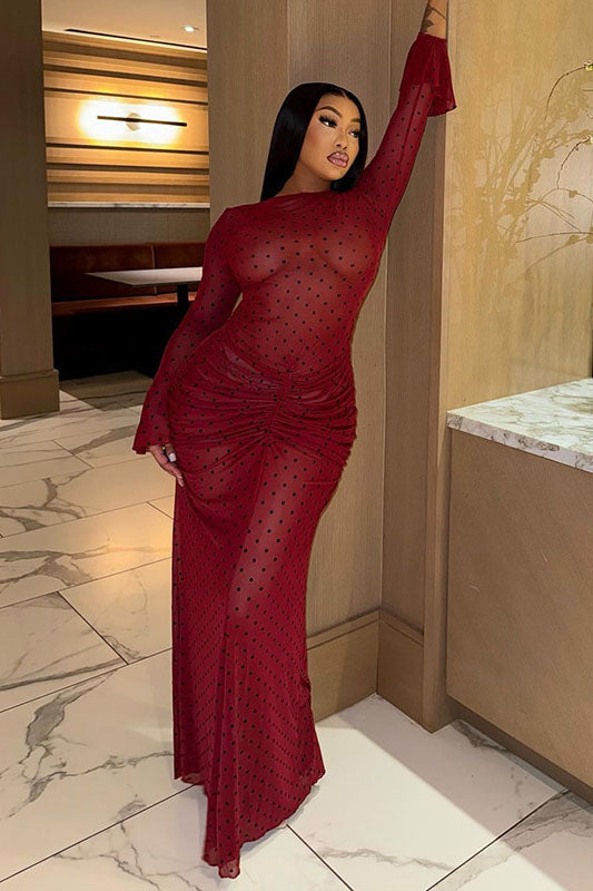 Glamorous Retro Polka Dot Sheer Mesh Maxi Dress