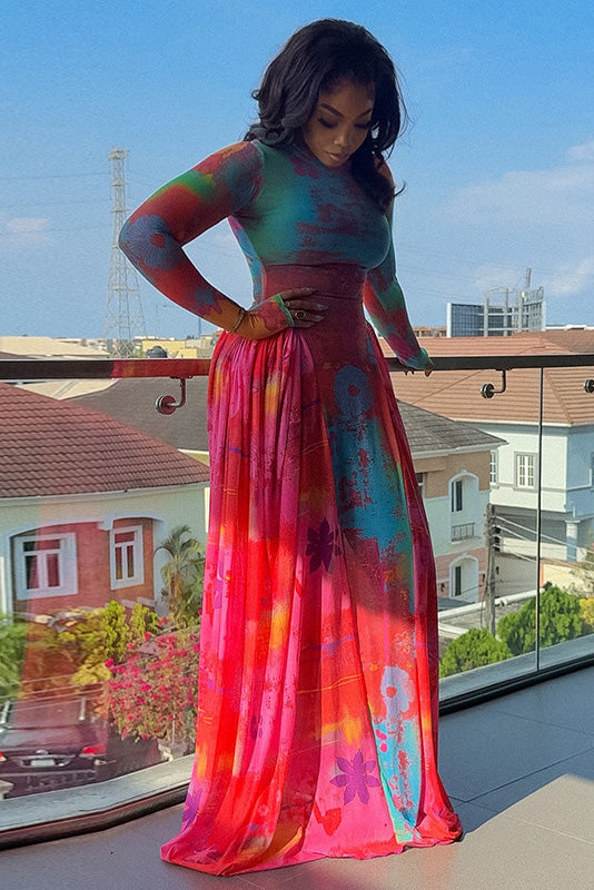 Color Block Sheer A-Line Dress