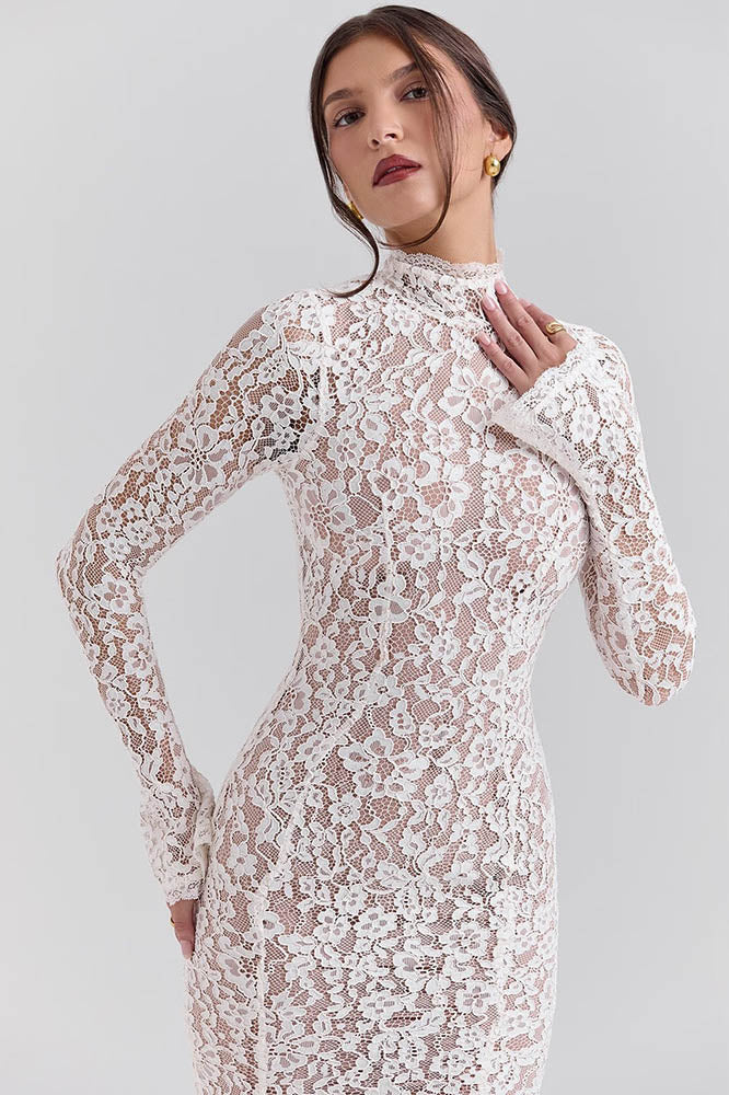 Lace High Waist Slimming Bodycon Dress