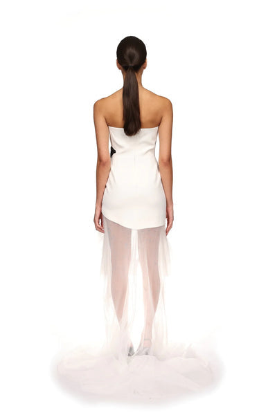 Veronica Strapless Crystal Mini Dress