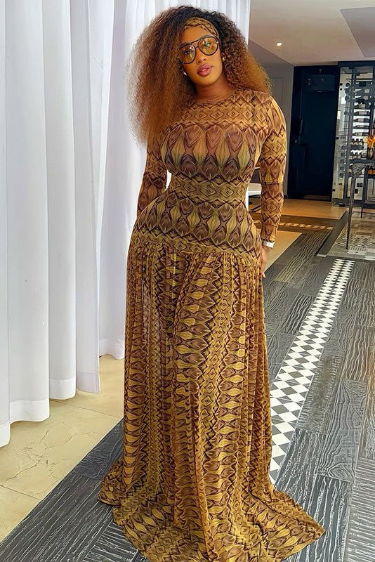 Vintage Feather Print Sheer Maxi Dress