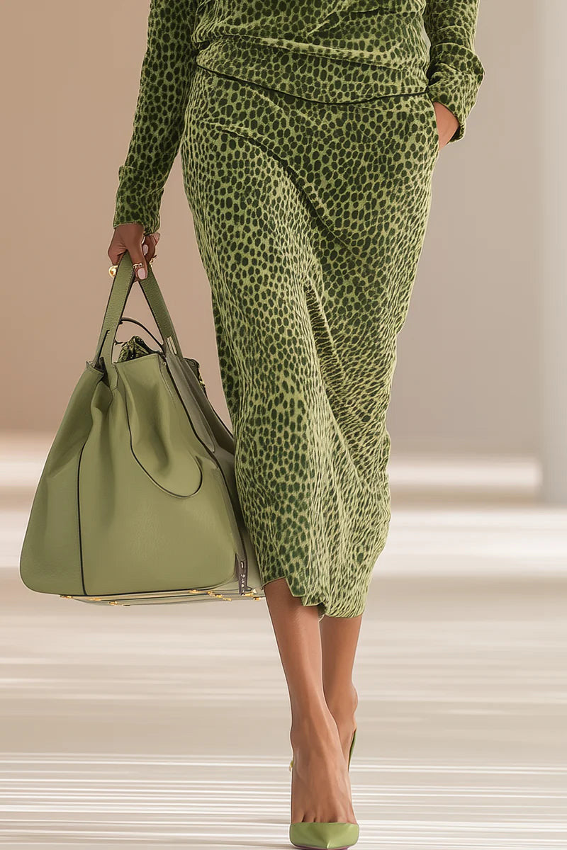 Leopard Print Stand Collar Velvet Top + Skirt Set